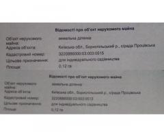 Земля на дамбе возле Процева Бориспольский район Продам срочно - Изображение 3/3