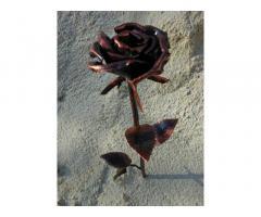 Кована троянда. Кованые розы ручной роботы. Ексклюзивний подарунок. - Изображение 11/11