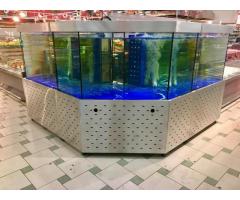 Торговый аквариум для устриц и лобстеров от компании Retailaqua.