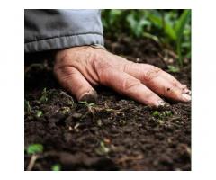 Агрисолика - кремниевое удобрение для сада и огорода в гранулах