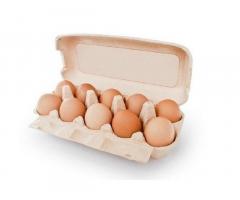 Яйца куриные купить с доставкой в Днепре.