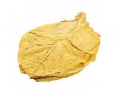 Tobacco Leaf Shop: натуральний листовий тютюн найвищої якості! - Изображение 4/6