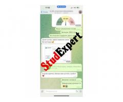 Купити реферат бакалаврської роботи в Україні - Изображение 5/11