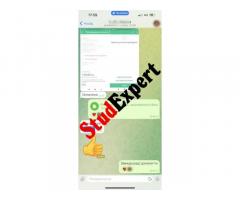 Купити емпіричну частину дипломної роботи в Україні