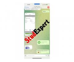 Купити щоденник звіту зі стажувальної практики в Україні - Изображение 4/11