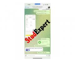 Купити щоденник звіту зі стажувальної практики в Україні - Изображение 5/11