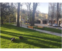Продажа 3кк в ЖК «Sherwood». Антонова Авиаконструктора ул., д. 2 "Б" - Изображение 11/11