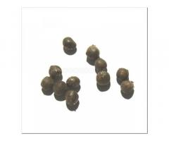 Семена ямса китайского / Dioscorea opposita, TM OGOROD - 3 семечка