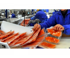 NORDFISH  відома на весь світ фабрика рибного відділу